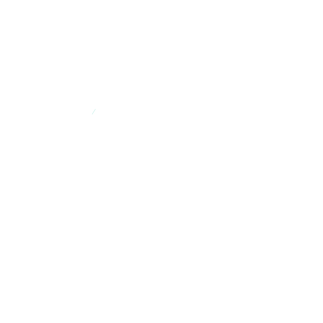 BASA